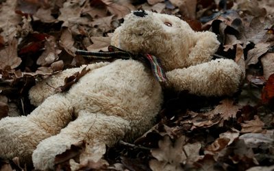 Bamse på blade i skoven